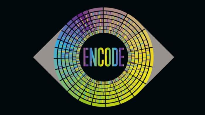 encode