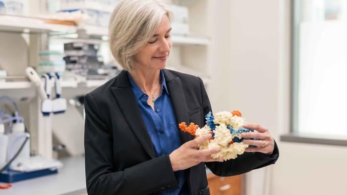 CRISPR Model