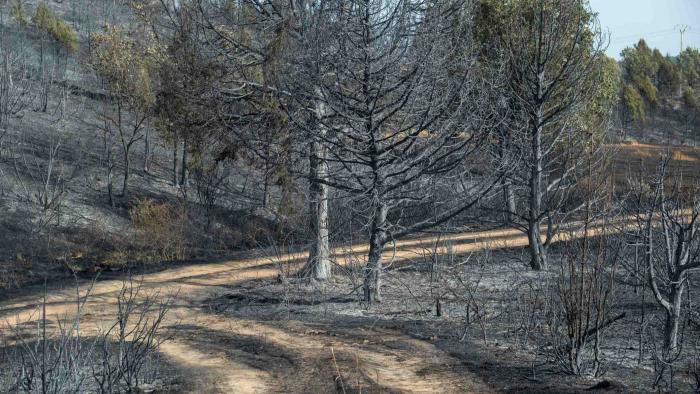 incendio